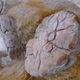 Image for article titled 10,000 Year Old Frozen Mammoth Found Perfectly Preserved in Siberia